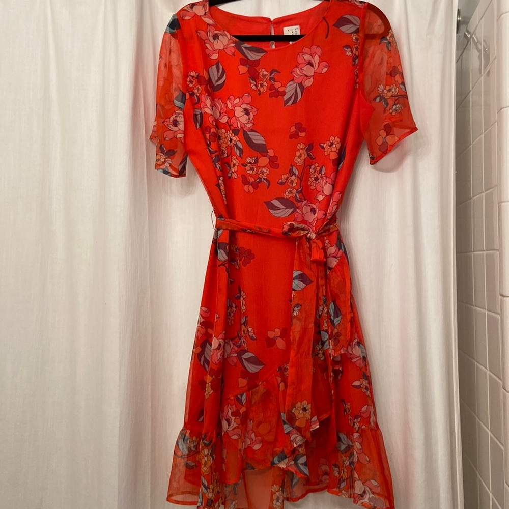 A new day dress, worn once! In great condition!